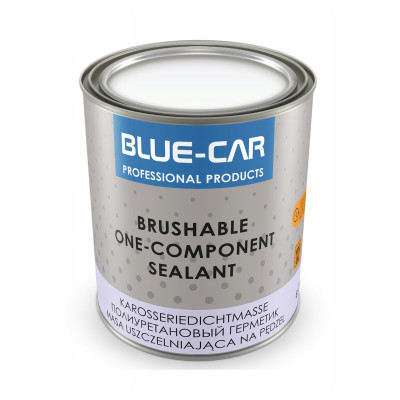 BLUE CAR MASA USZCZELNIAJĄCA NA PĘDZEL 1 KG POLECA